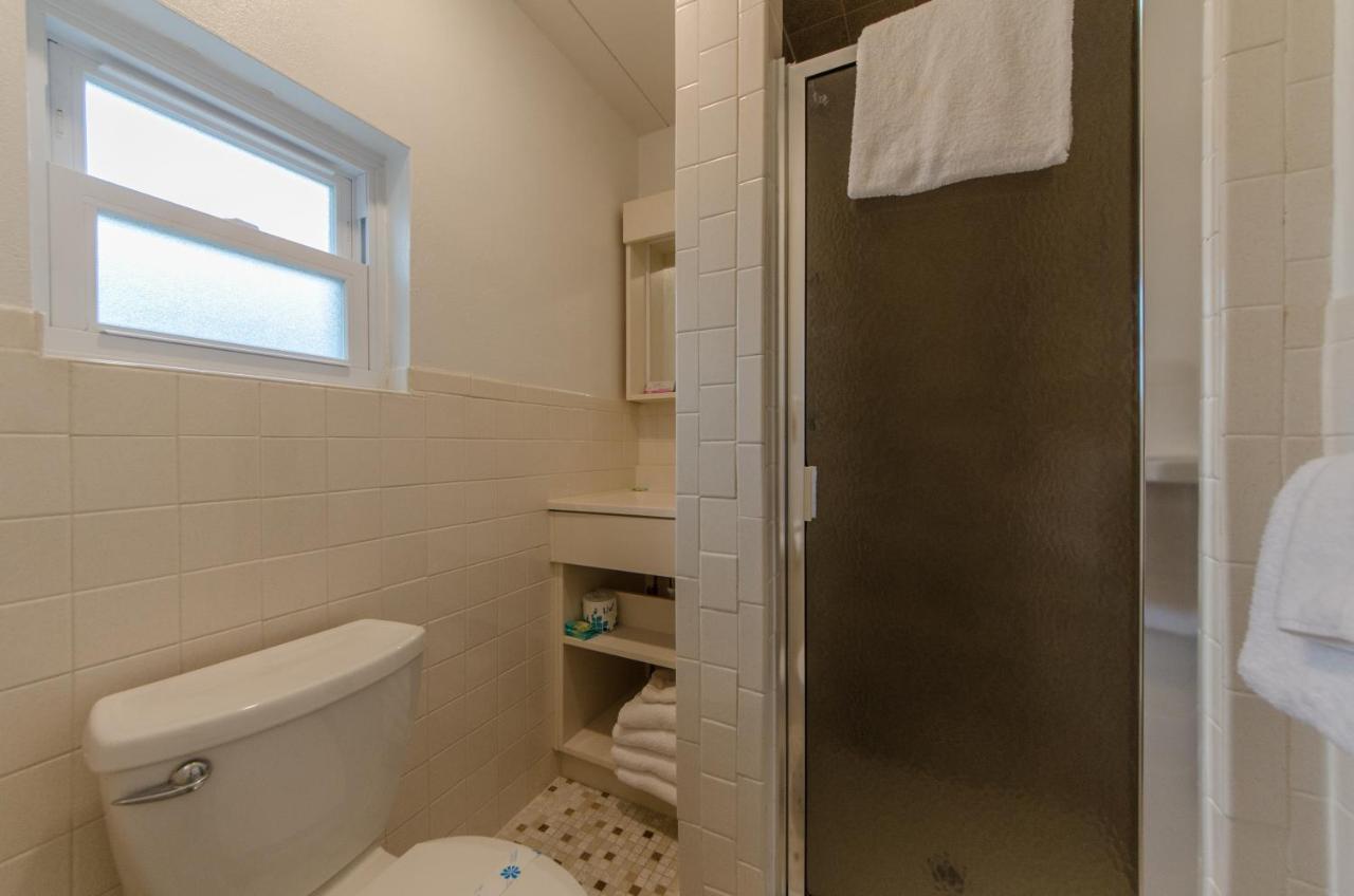 Lark 3* Stone Harbor